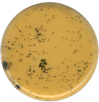 TSC ) agar (base) 500 G